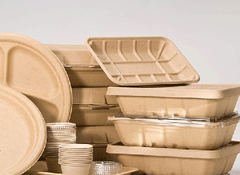 تصویر 2 از قیمت ظروف یکبارمصرف کاغذی گیاهی